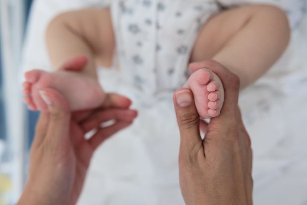 20230706-IMG_9843.jpg 20230706-IMG_9843.jpg